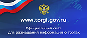 torgi.gov.ru